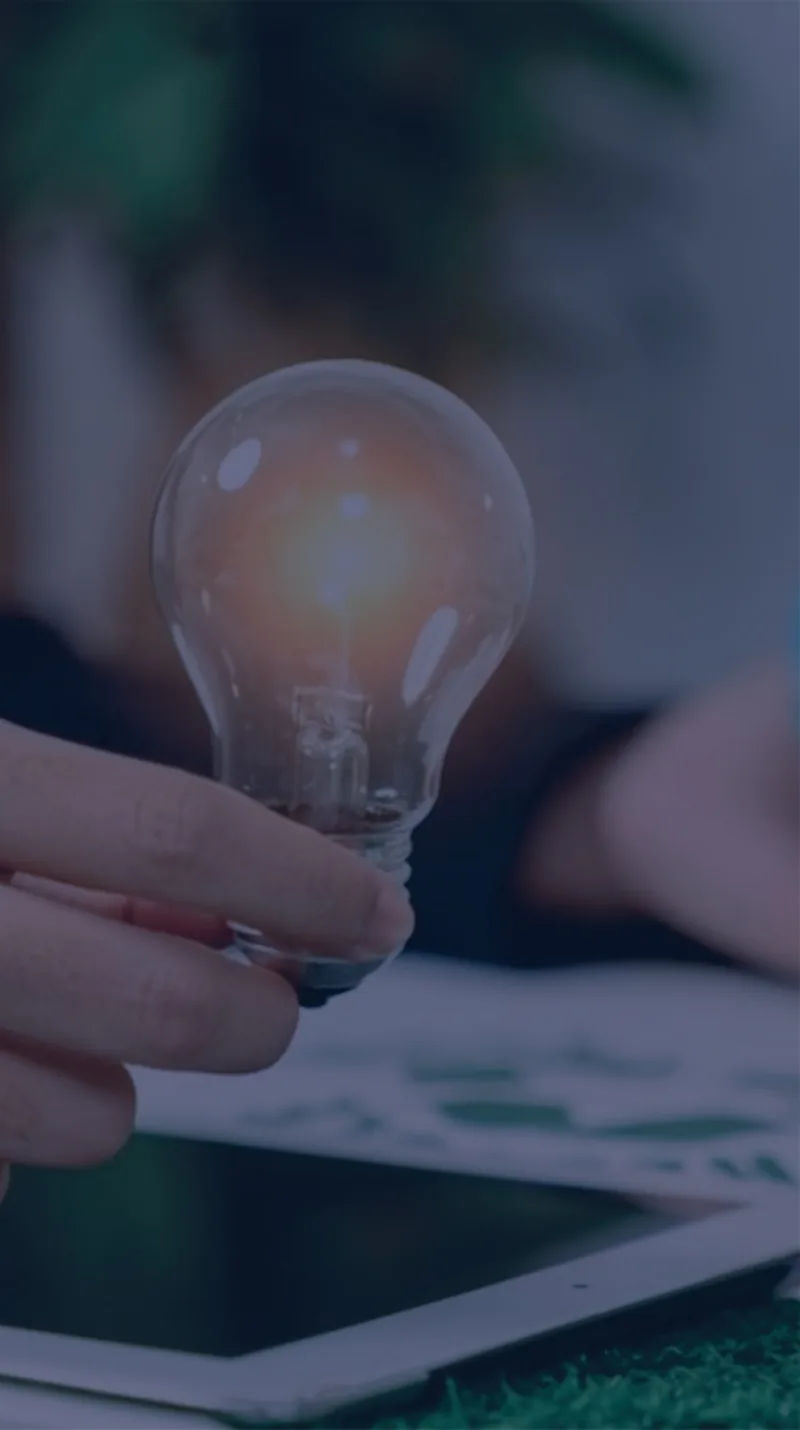 Calidad y sostenibilidad